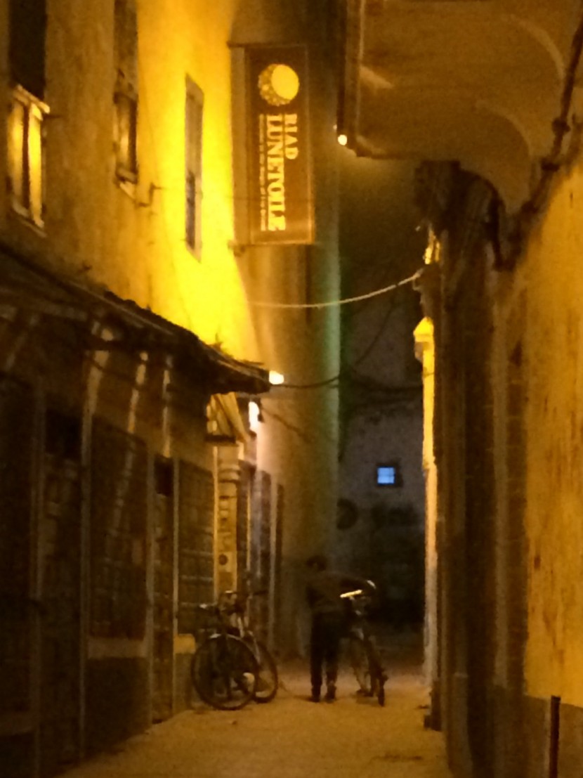 Riad Lunetoile in old medina of Essaouira