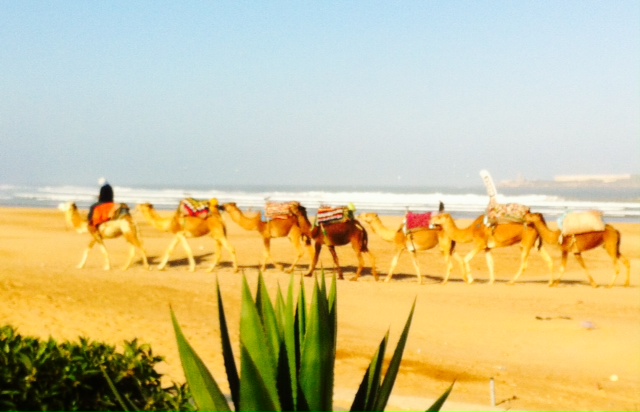 Typical Essaouira morning