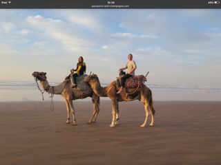 Sunset camel rides