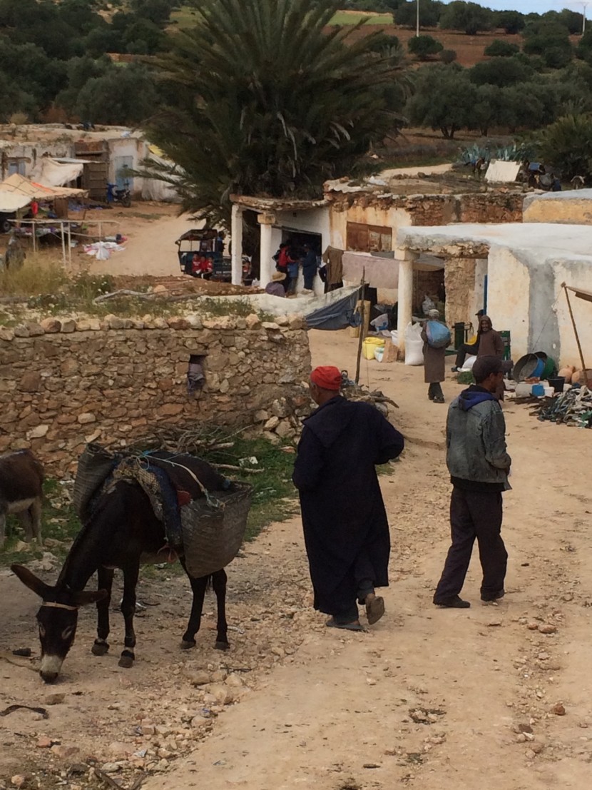 Country market at about 45 minutes from Essaouira