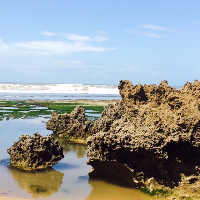 Lovely rock-pools near Essaouira