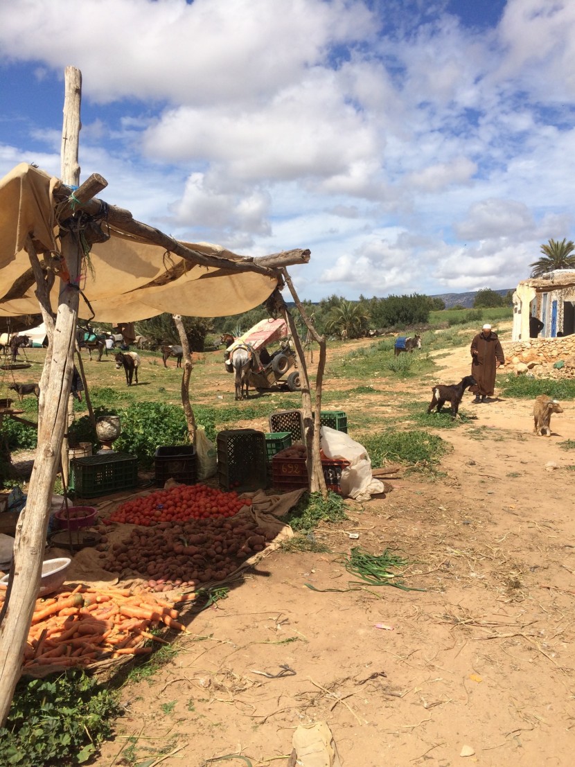 Fresh farm vegetables