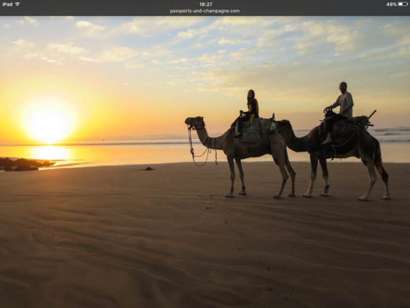 Sunset camel rides