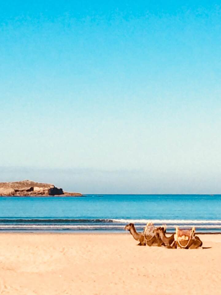 Boxing day a la Essaouira